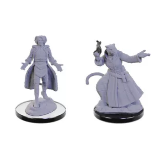 Critical Role Unpainted Miniatures: Lucien Tavelle & Cree Deeproots-90663