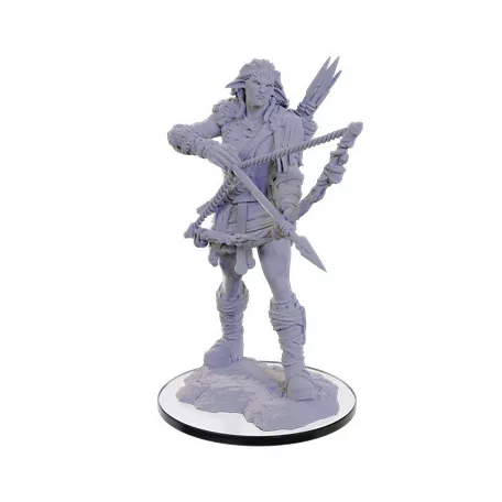 Pathfinder Deep Cuts Miniatures: Wood Giant-90688