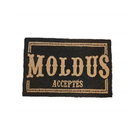 Moldus Acceptes French Doormat 60X40 Harry Potter-SDTWRN23363