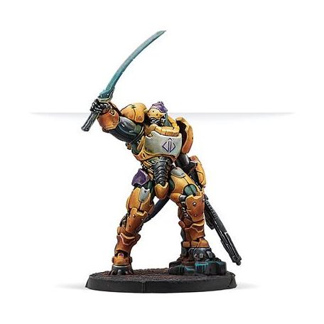 Infinity Reinforcements: Haetae Unit (HMG) - EN-281336-1029