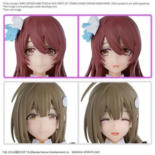 30MS OPTION HAIR STYLE & FACE PARTS SET (TENKA OSAKI/CHIYUKI KUWAYAMA)-MK66312