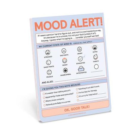 Knock Knock Today's Mood Nifty Note (Pastel) - EN-94249