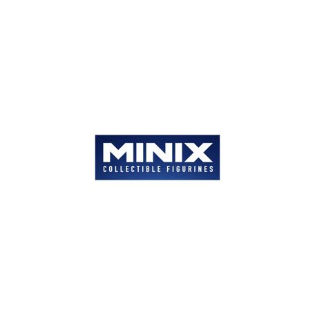 Minix Carton Display-14828