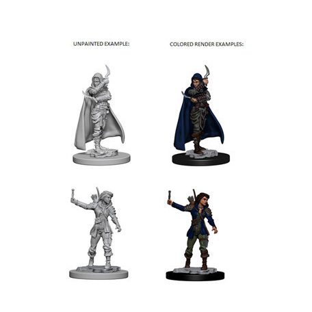 Pathfinder Battles Deep Cuts: Human Female Rouge - EN-WZK72603