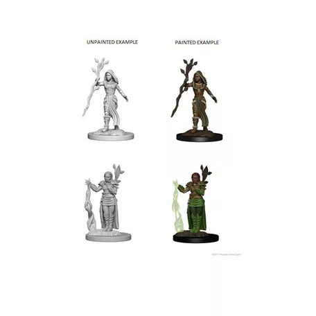 D&D Nolzur's Marvelous Miniatures - Human Female Druid-WZK72640