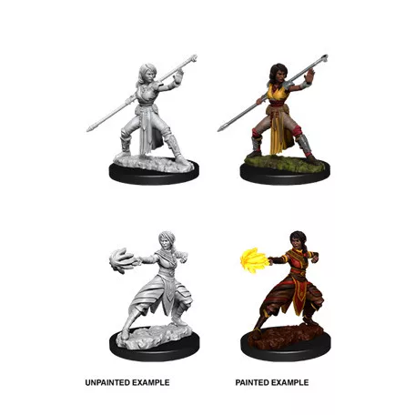 D&D Nolzur’s Marvelous Miniatures: Female Half-Elf Monk-73839