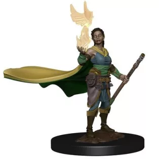 D&D Icons of the Realms Premium Figures: Elf Female Druid-93003