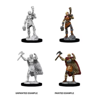 D&D Nolzur's Marvelous Miniatures: Female Human Barbarian-90056