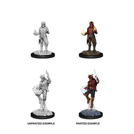 D&D Nolzur's Marvelous Miniatures: Male Tiefling Sorcerer - EN-WZK90058