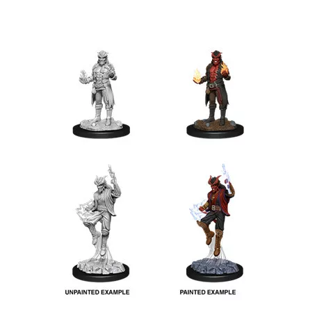 D&D Nolzur's Marvelous Miniatures: Male Tiefling Sorcerer-90058