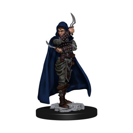 Pathfinder Battles: Premium Painted Figure - Human Rogue Female - EN-WZK77501