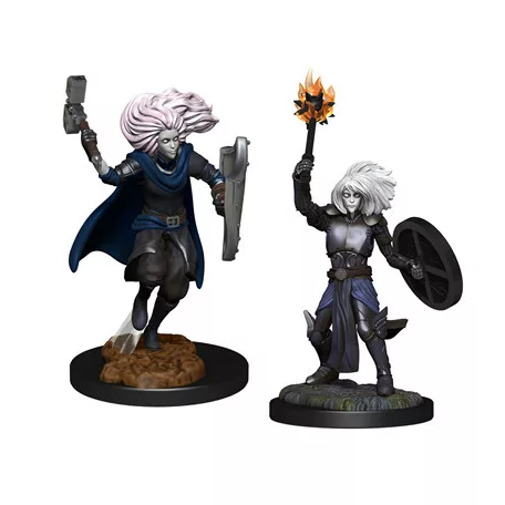 D&D Nolzur's Marvelous Miniatures: Changeling Cleric-WZK90237