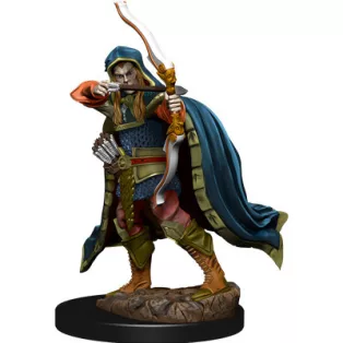 D&D Icons of the Realms Premium Figures: Elf Rogue Male-WZK93048