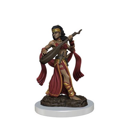 Pathfinder Painted Premium: Female Human Bard-WZK77518