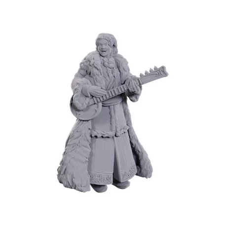 Dungeons & Dragons Nolzur's Marvelous Miniatures: Ansalon Human Bard-90108