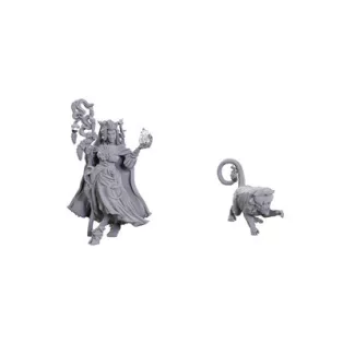 Critical Role Unpainted Miniatures: Fearne Calloway & Mister-90722