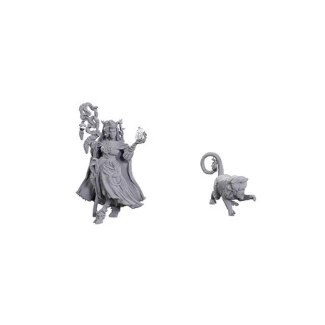 Critical Role Unpainted Miniatures: Fearne Calloway & Mister-90722