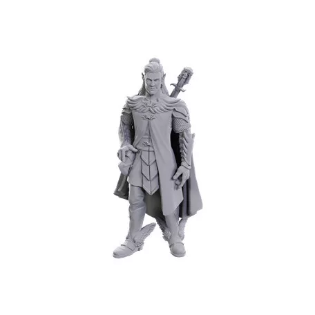 Critical Role Unpainted Miniatures: Dorian Storm-90723
