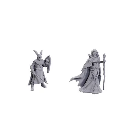 D&D Nolzur's Marvelous Miniatures: Limited Edition 50th Anniversary — Elves-90734