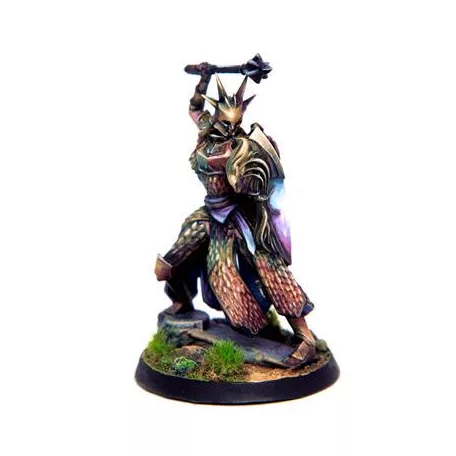 Eldfall Chronicles - Citadel Guard-ELDSMCG01