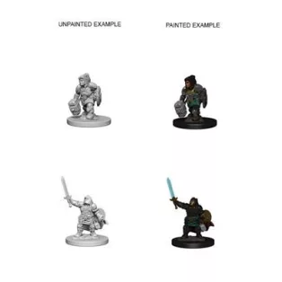 D&D Nolzur's Marvelous Miniatures - Dwarf Female Paladin-WZK72631