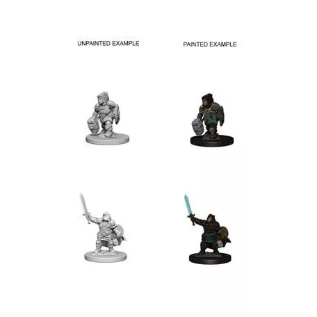 D&D Nolzur's Marvelous Miniatures - Dwarf Female Paladin-WZK72631