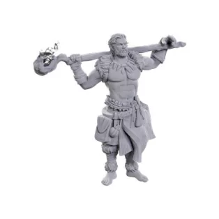 D&D Nolzur's Marvelous Miniatures: Archdruid & Martial Arts Adept-90695
