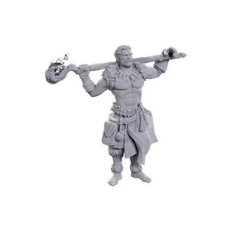 D&D Nolzur's Marvelous Miniatures: Archdruid & Martial Arts Adept-90695