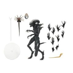 NECA 