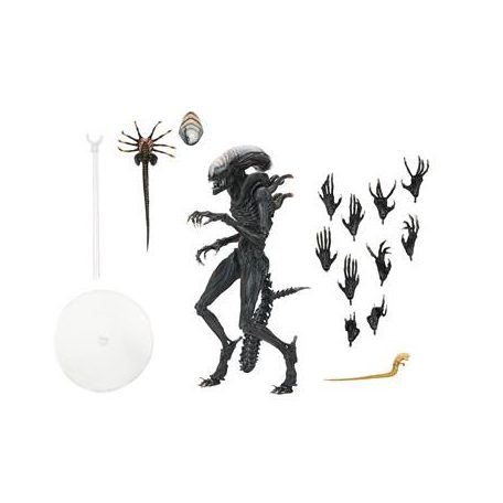 Alien: Romulus - 7" Scale Action Figure - Ultimate Scorched Xenomorph-NE51741-01