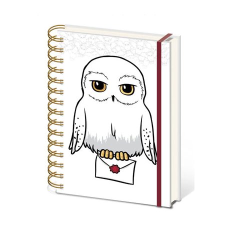 Harry Potter (Special Delivery) A5 Wiro Notebook-SR74526