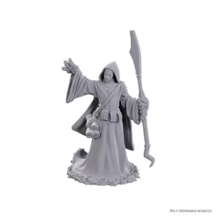 D&D Nolzur's Marvelous Miniatures: Star Spawn Larva Mage-90754