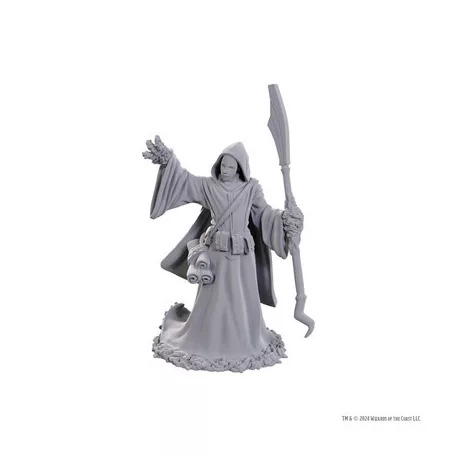 D&D Nolzur's Marvelous Miniatures: Star Spawn Larva Mage-90754