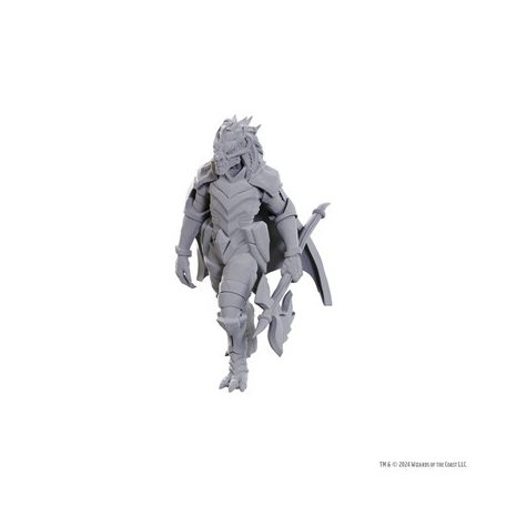 D&D Nolzur's Marvelous Miniatures: Dragonborn of Tiamat-WZK90759