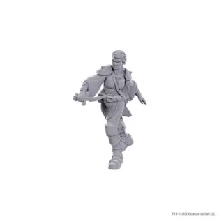 D&D Nolzur's Marvelous Miniatures: Swashbuckler-90762