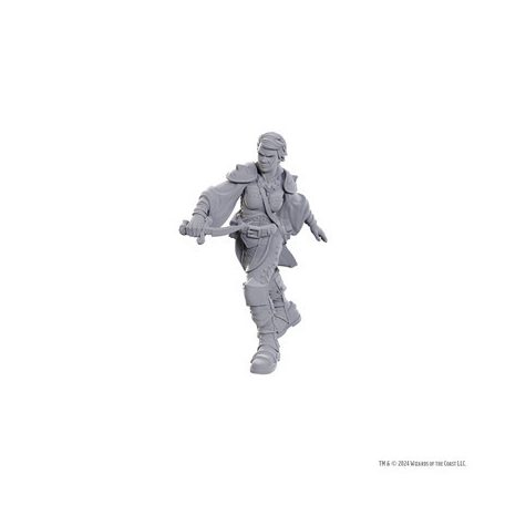 D&D Nolzur's Marvelous Miniatures: Swashbuckler-WZK90762