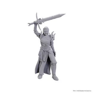 D&D Nolzur's Marvelous Miniatures: Blackguard-90772
