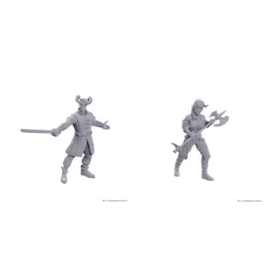 D&D Nolzur's Marvelous Miniatures: Special Edition Baldur's Gate 3 — Wyll & Karlach-96367