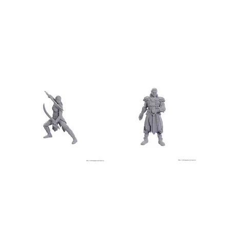 D&D Nolzur's Marvelous Miniatures: Special Edition Baldur's Gate 3 — Jaheira & Halsin-96368