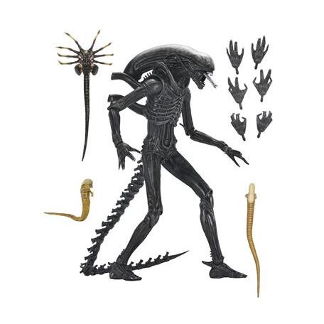 Alien: Romulus- 7" Scale Action Figure - Ultimate Xenomorph XX121-NE51742-01