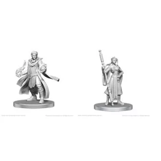 Critical Role Unpainted Miniatures: Beauregard Lionett & Caleb Widogast-90789