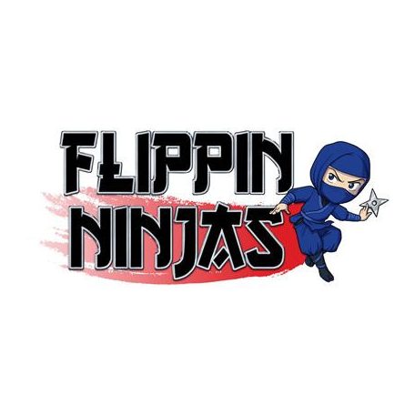 Flippin Ninjas - EN-CAT55040