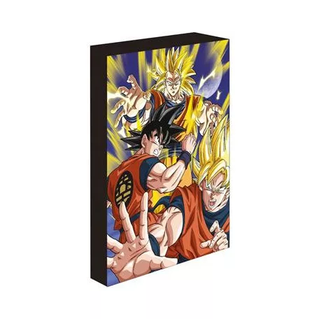 Dragon Ball Z (Goku Super Saiyan) 30X40 Light Up Canvas-WDCL12537