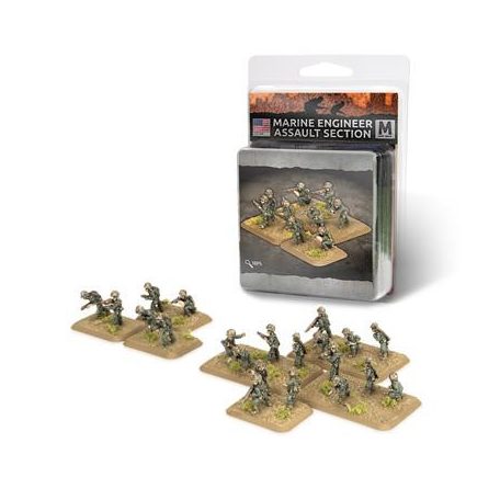 Marine Engineer Assault Section (x21 figures) - EN-US816