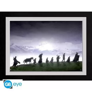 LORD OF THE RINGS - Framed print "Fellowship" (30x40)-PFC972