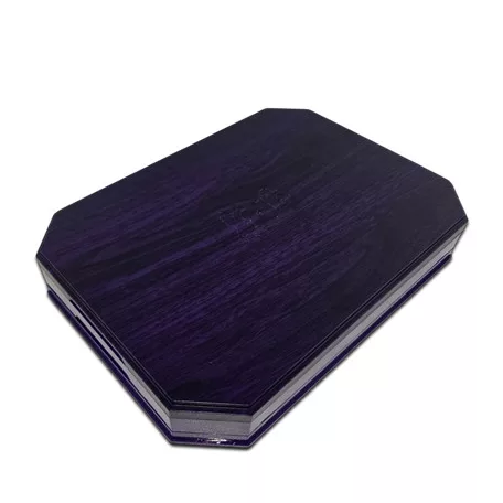 Chronicle RPGs - Wet Palette (Purple/Black)-CHR30008