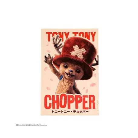 Aluminium plate - Tony Tony Chopper- One Piece-MAP6117