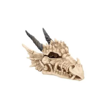 Dragon Skull Box 20cm-AL50057