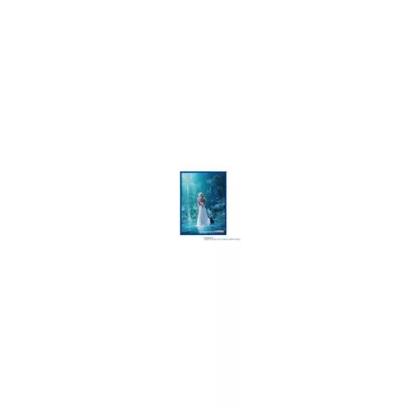 FINAL FANTASY Card Sleeve Series AERITH (FFCSS-21)-XFF00ZZZ75
