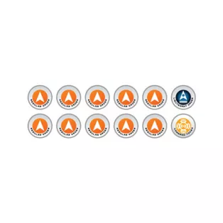 N4 Infinity Tokens Regular Orders Orange (12)-P00268